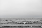 Grey wave