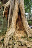 TA PROHM