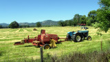 California Hay Farmers.jpg