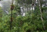 Cumbre de la Cima Tecuamburro (Cerro Soledad)