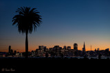 Twilight Action