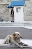 Garde Evzone devant le  Parlement