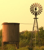 Windmill in the afternoon