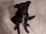 Good Girl