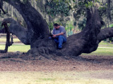 DSCF6766.jpg