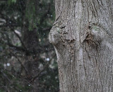 Think Snow