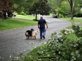 Ode To Hurricane Irene