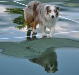 Della and Her Reflection