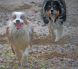 Fun At The Beach