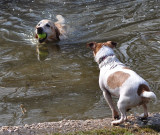 Hurry Up With That Ball! It's My Turn!