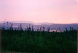 Taylor Highway at dusk