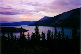 Tagish Lake