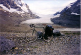 The Columbia Icefield - Athabasca Glacier