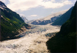 Bear Glacier