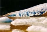 Bear Glacier terminus