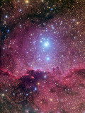 NGC 6188 and NGC 6193 in Ara