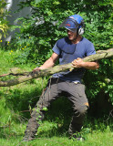 TreeSurgery280612_ 56.jpg