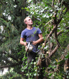 TreeSurgery280612_ 72.jpg