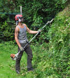 TreeSurgery280612_ 75.jpg