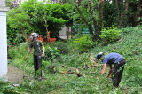 TreeSurgery280612_ b112.jpg