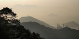 Yellow Mountain - Hong Kong Style
