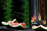 Reflections of Watermelon
