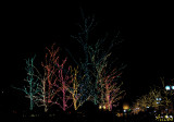 HP Winter Lights.jpg