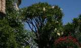 Saint-Paul de Vence