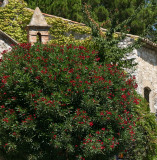 Saint-Paul de Vence