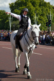 Change of Guards Buckingham Palace