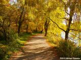 Sun Alley - High Park, Toronto