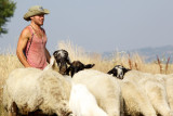 The local industry in the Milia area