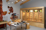 IJstijdenmuseum in Buitenpost