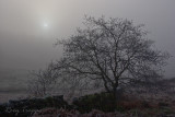 Cloud Inversion - Cwmbowydd farm , Blaenau Ffestiniog