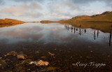 Llyn Morwynion