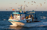 Fishing boat entering Espetpona harbour