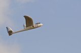 _DSC6923_edited-1.jpg