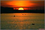 DSC_1661 sunset marine lake 3.jpg