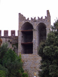 100_1767.JPG