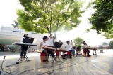 Traditional Korean orchestra