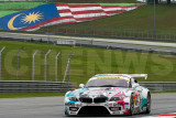 HATSUNEMIKU GOODSMILE BMW Z4GT3