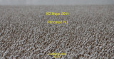 Heps XC 2011