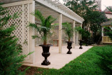 back yard