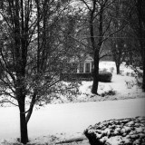 snowstorm on my street