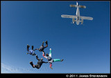 hib_a242.jpg