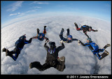 hib_a252.jpg