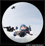 hib_a269.jpg