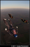 hib_a296.jpg