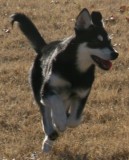 January 1 2008 1212.JPG
