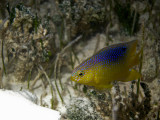 cayman_2012-296.jpg